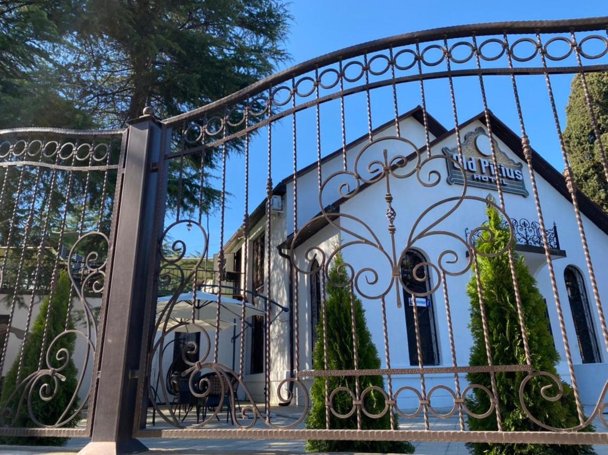 Hotel Old Pitius ปิซุนดา ภายนอก รูปภาพ